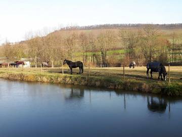 Ferienwohnung für 6 Personen in Obersulm, Naturpark Schwäbisch-Fränkischen Wald, Bild 4