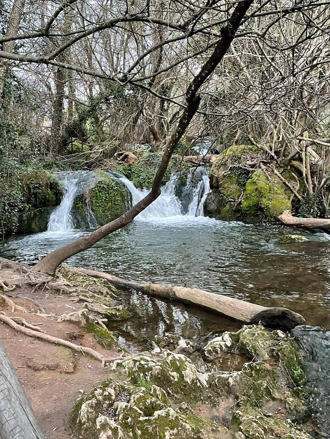 Apartamento entero, Alojamiento rural la fábrica de palos in Cazalla de la Sierra, Sierra Morena