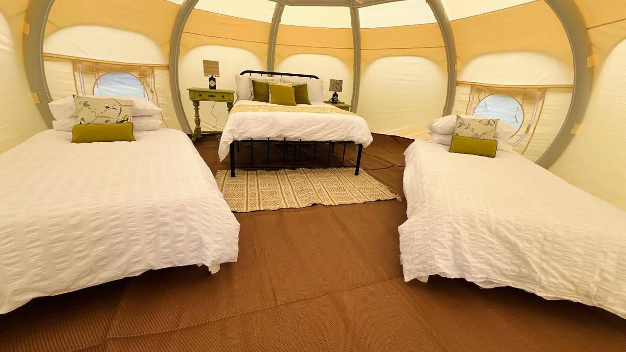 Tent in Stafford, Staffordshire