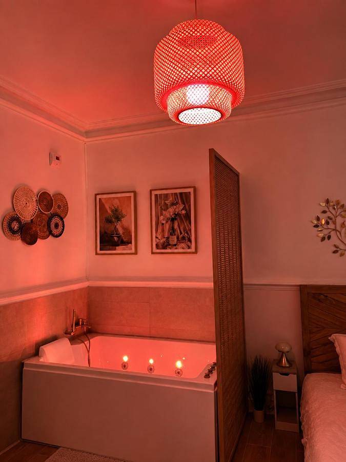 Appartement entier, La Suite Bohème in Poitiers, Vienne (France)