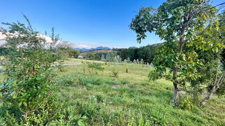 Apartamento de vacaciones para 5 personas, con vistas y jardín, Se admiten mascotas - 1