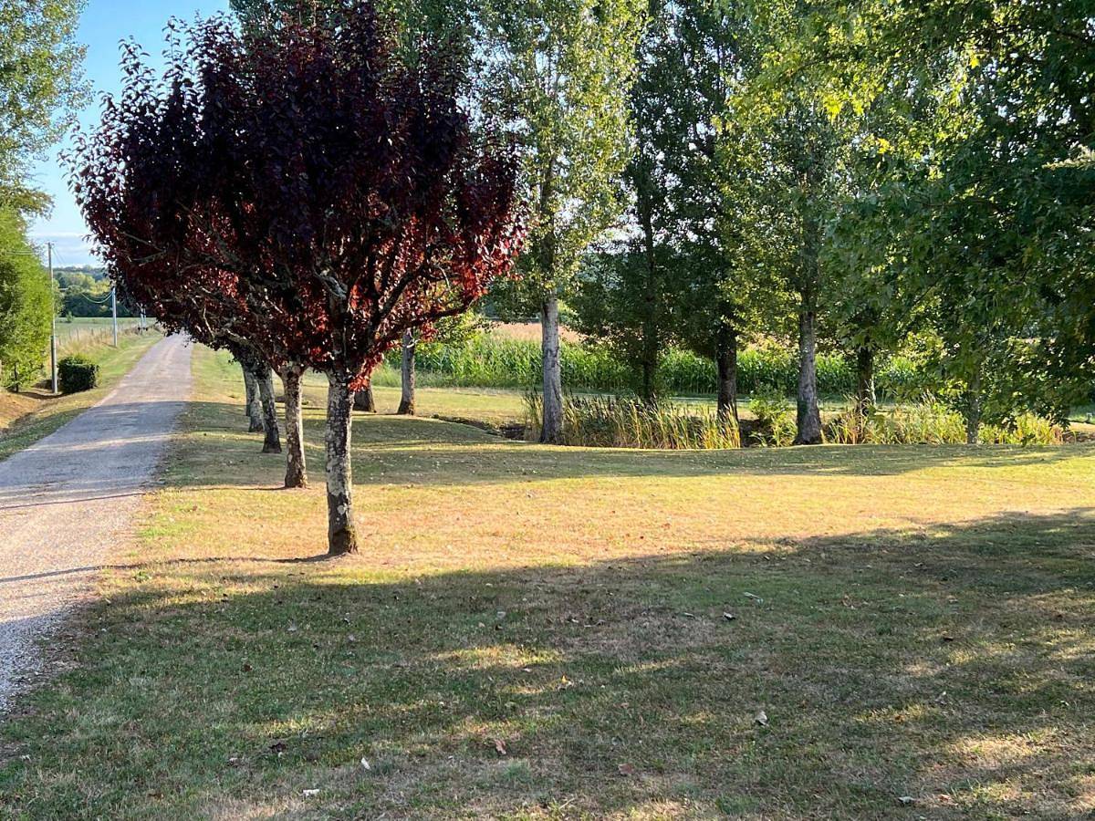 La petite lande in Bourgougnague, Région de Marmande
