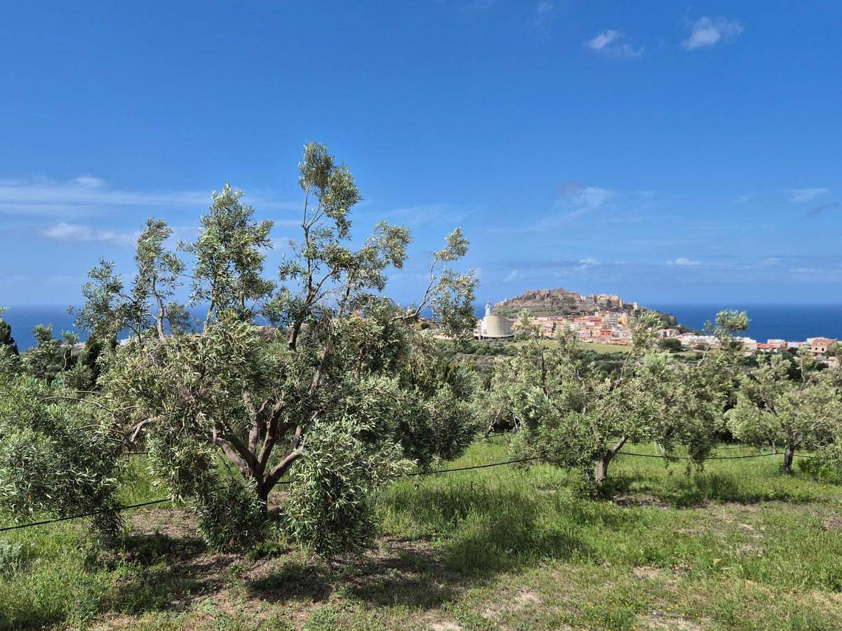Villetta Olivia Casa in collina vista mare in Castelsardo, Sassari Provinz