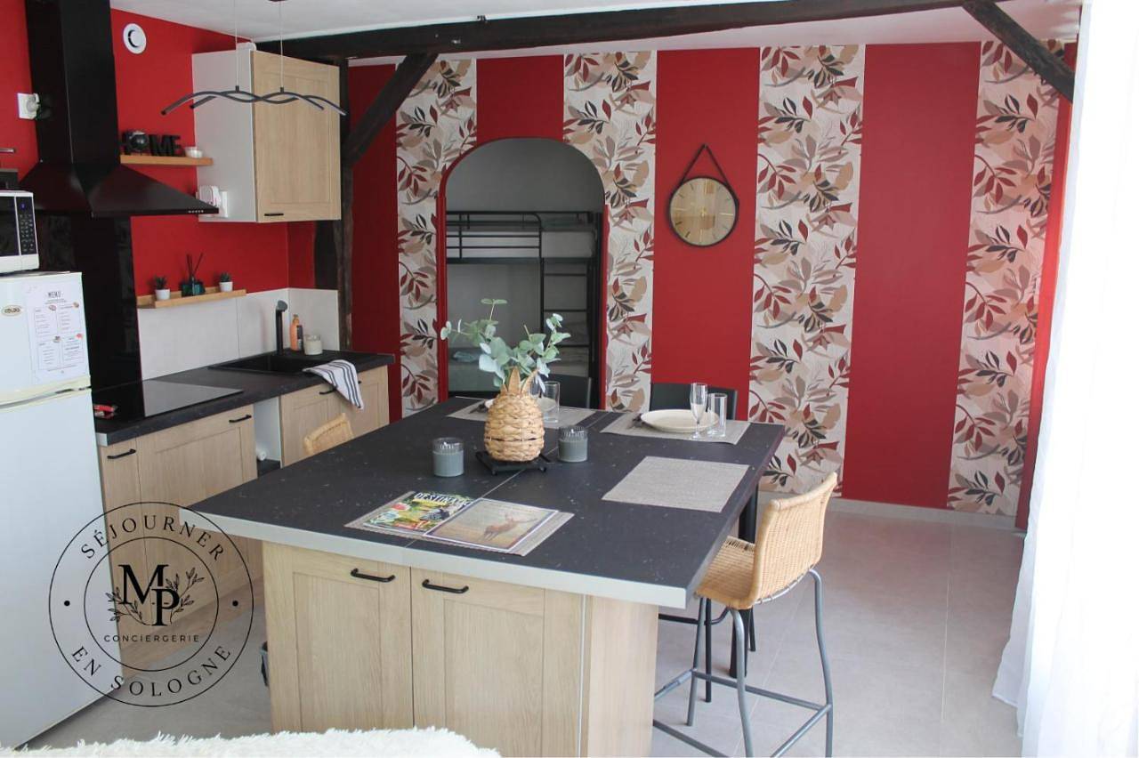 Appartement entier, Appartement Terrasse à Mennetou sur Cher "La Cité Médiéval in Mennetou-sur-Cher, Région de Romorantin-Lanthenay