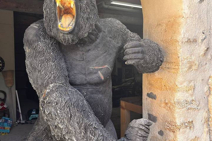 Location de vacances pour 9 personnes, avec balcon ainsi que piscine et jardin à Caux