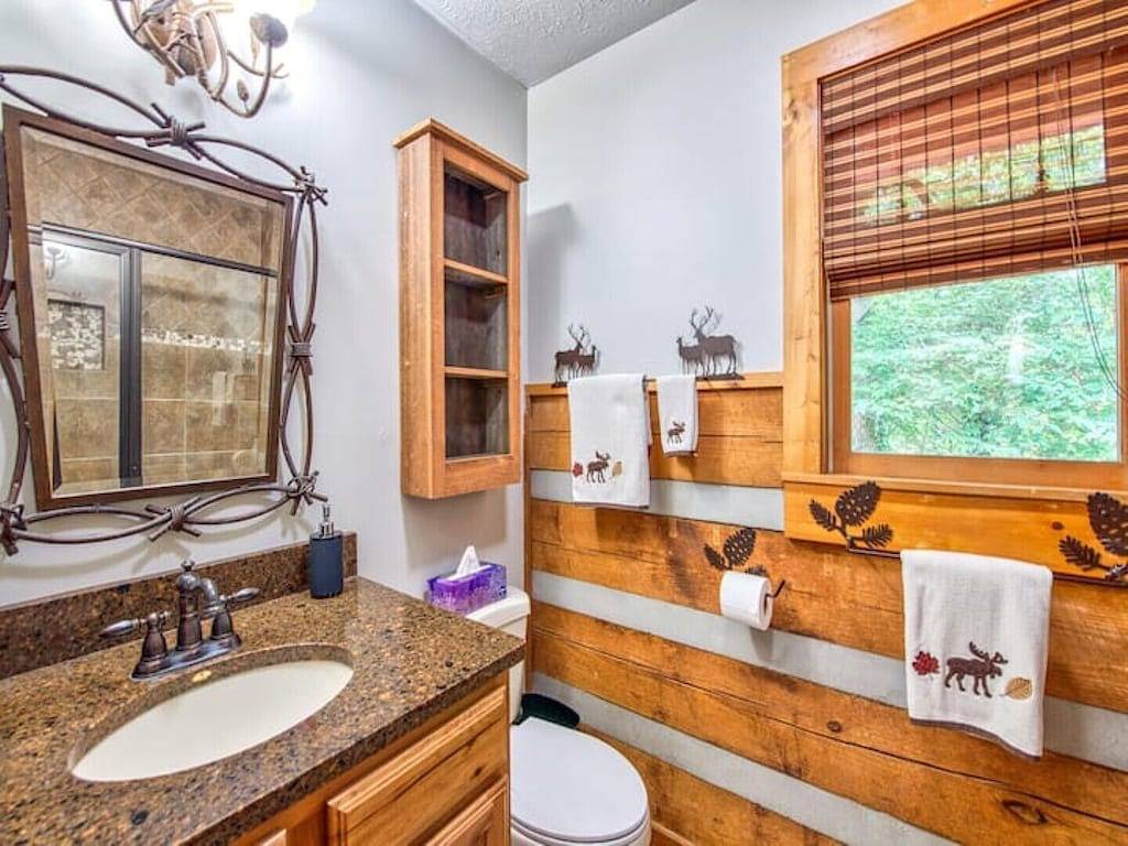 Twin Creeks Refuge, a log cabin, Pet friendly in Blue Ridge Parkway, Cataloochee Valley