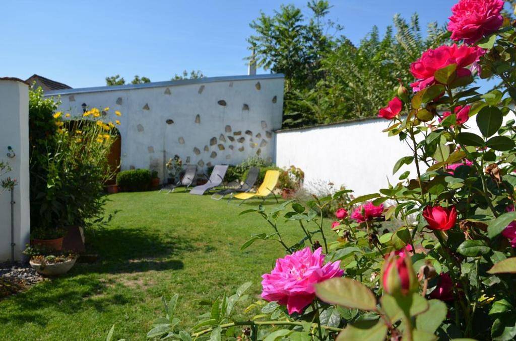 Double Room with Bath in Apetlon, Neusiedlersee-Hügelland