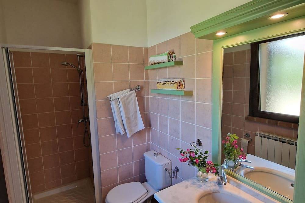 2 Apartments Rented Together With Private Pool, Sleeps 9, Walk to Restaurants in San Romano in Garfagnana, Garfagnana