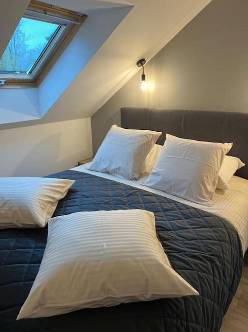 Gîte pour 4 personnes, avec jardin et piscine ainsi que sauna et vue, animaux acceptés à Levernois - 2