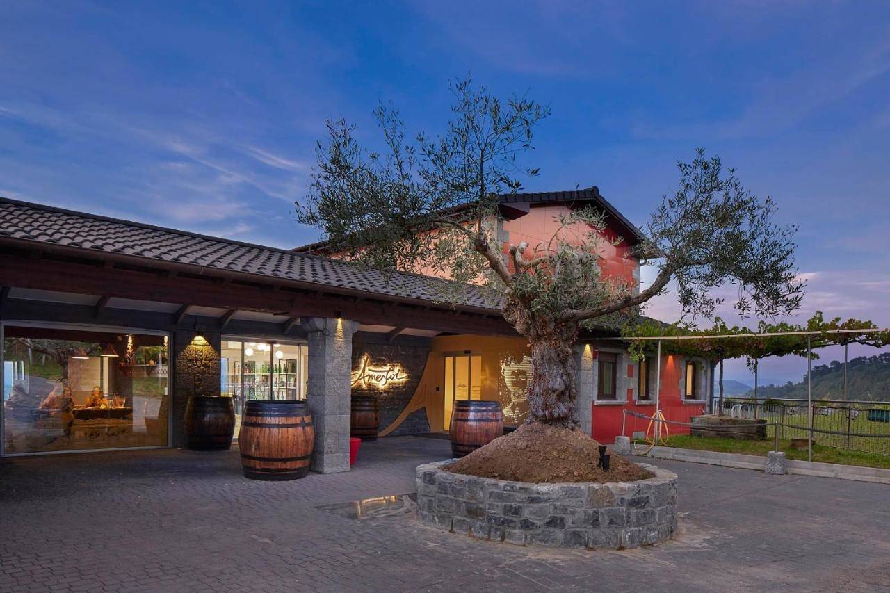 Ameztoi Experience in Guetaria, Ruta del flysch