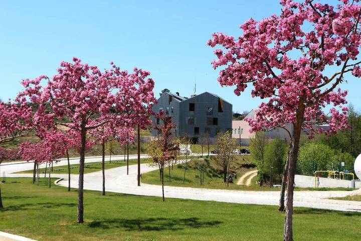 Hôtel pour 2 personnes, avec vue et piscine dans Rapoula do Côa