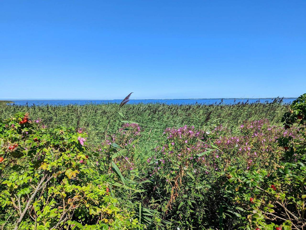 Verstecktes Paradies am Fjord -- By Traum Ferienwohnungen in Nørhede Vest, Ulfborg