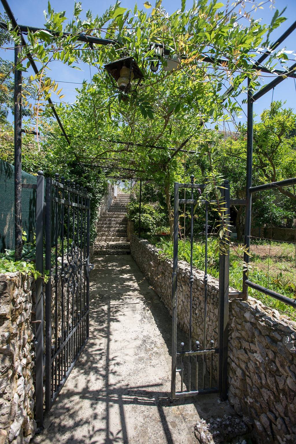 Room with balcony and sea view Lopud, Elafiti S-2169-c in Lopud, Grad Dubrovnik