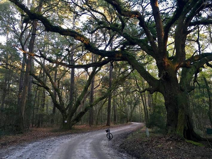 Vacation rental for 6 people, with yard and pool, with pets in Beaufort (SC)