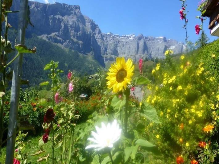 Ganze Wohnung, Chalet Abendstern in Albinen, Leukerbad & Umgebung