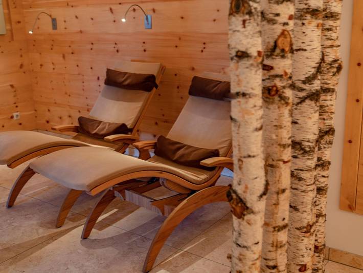 Hütte für 3 Personen, mit Balkon, kinderfreundlich in Rohrmoos