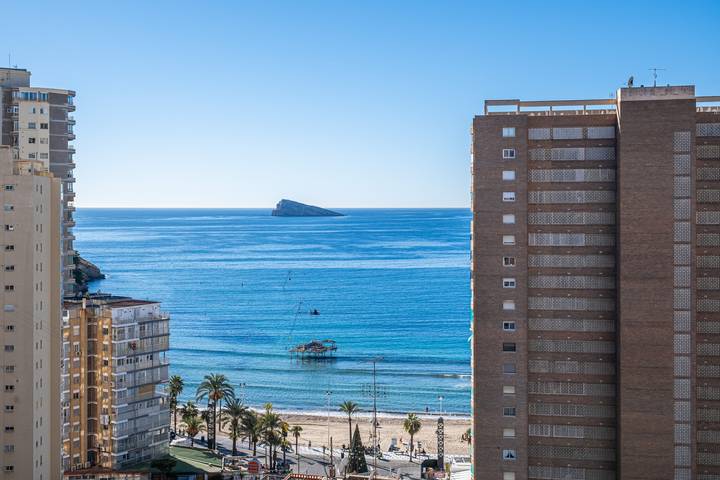 Ferienwohnung für 3 Personen, mit Haustier in Benidorm - 2