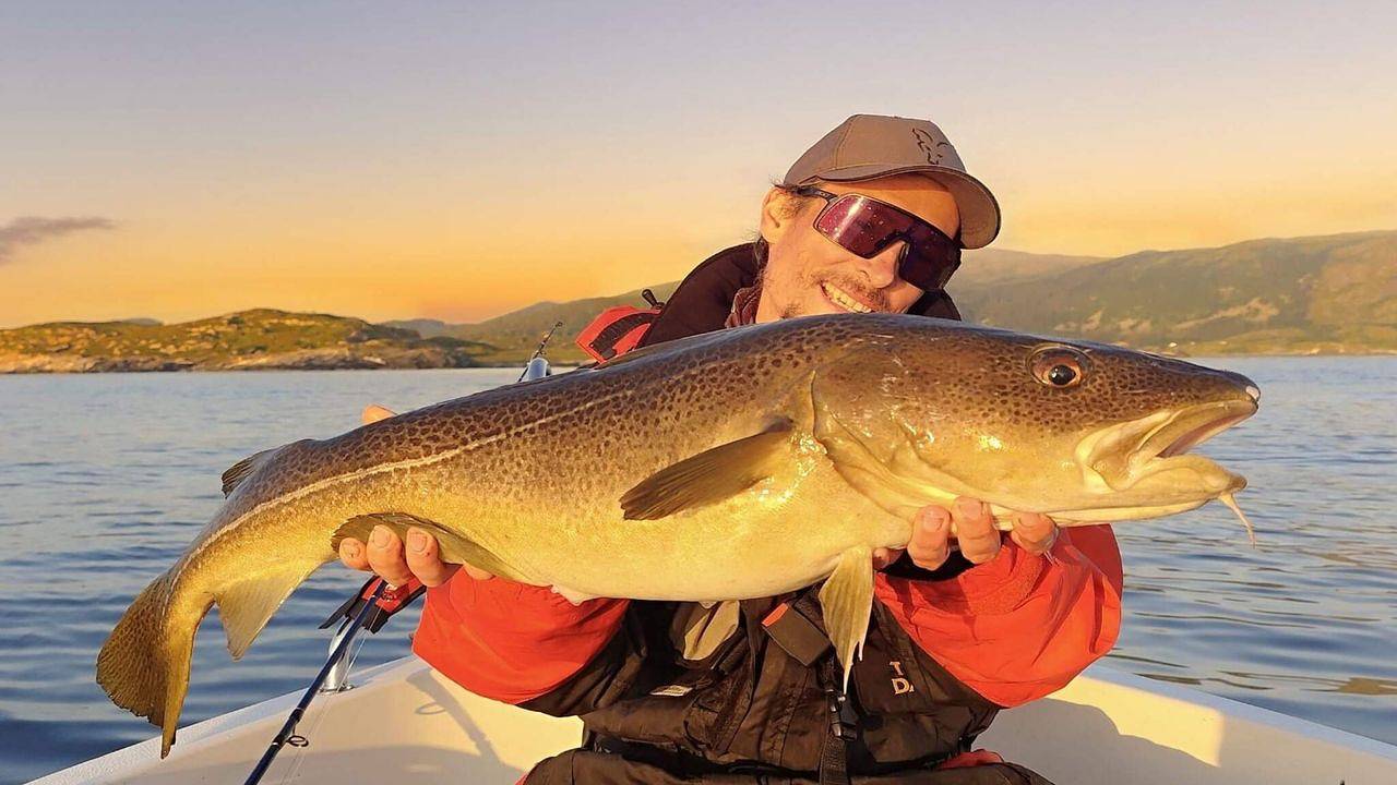 Ferienhaus für 6 Personen (107 m²) in Bjarkøy in Harstad