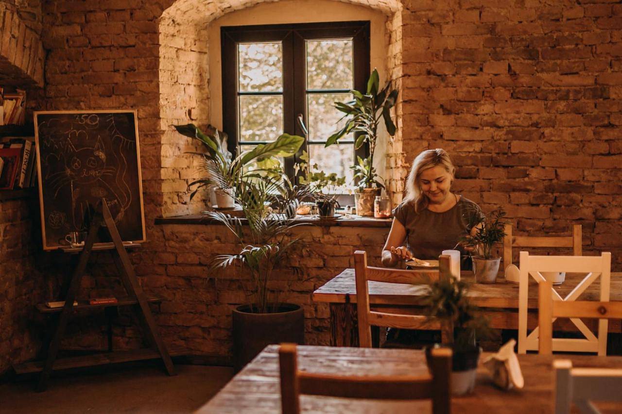 Vegan House in Sudety (Polska)