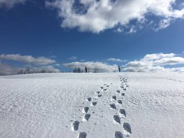 Vacation Home for 8 Guests in Pomfret, Vermont, Picture 4