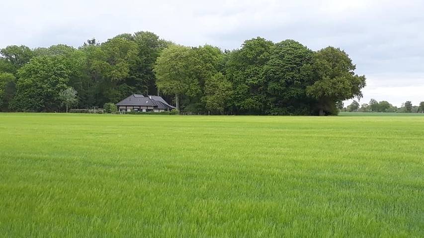 Ferienhaus für 12 Personen, mit Ausblick und Garten in Niedersachsen - 3