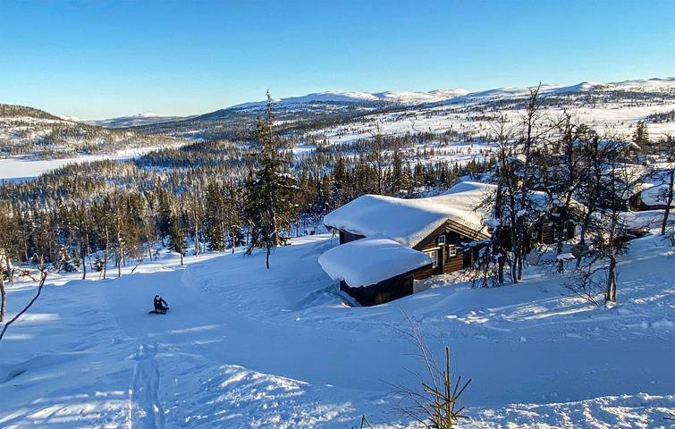 Maison de vacances pour 10 personnes avec sauna in Flå