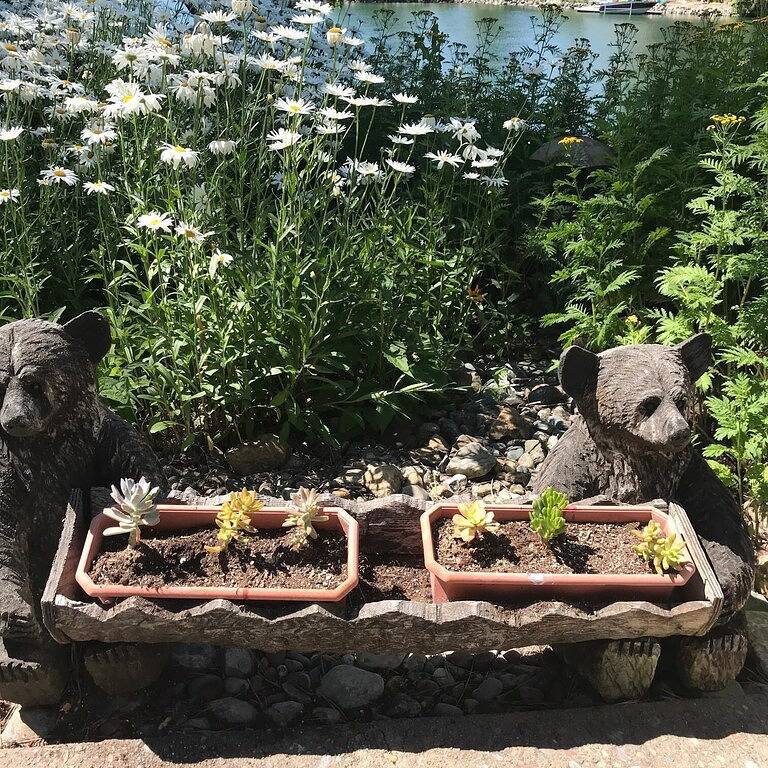 Offenes Konzept-Haus des Ufergegend-Flathead-Sees - 2 Lg-Meister Br - 2 Patios - Bootsanlegestelle in Flathead Nationalwald