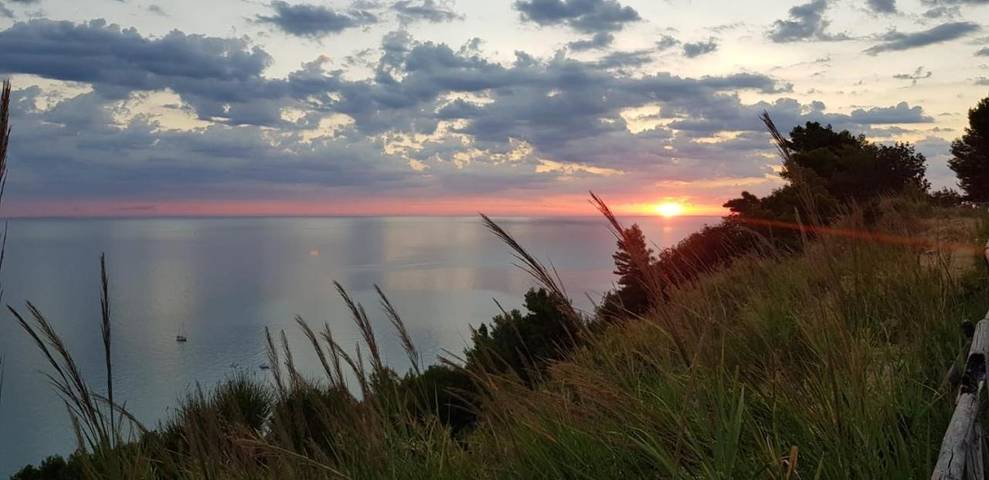 Chambre d’hôte pour 2 personnes, avec vue et jardin, animaux acceptés dans Marche - 3