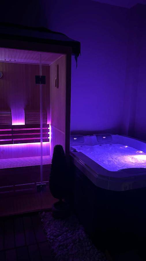 Appartement entier, Duplex Luxe - Sauna & Jacuzzi Privatif in Montrouge, Hauts-de-Seine