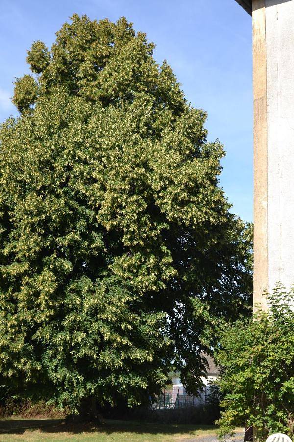 Gîte pour 6 personnes, avec vue et jardin, animaux acceptés à Saint-Agrève - 3