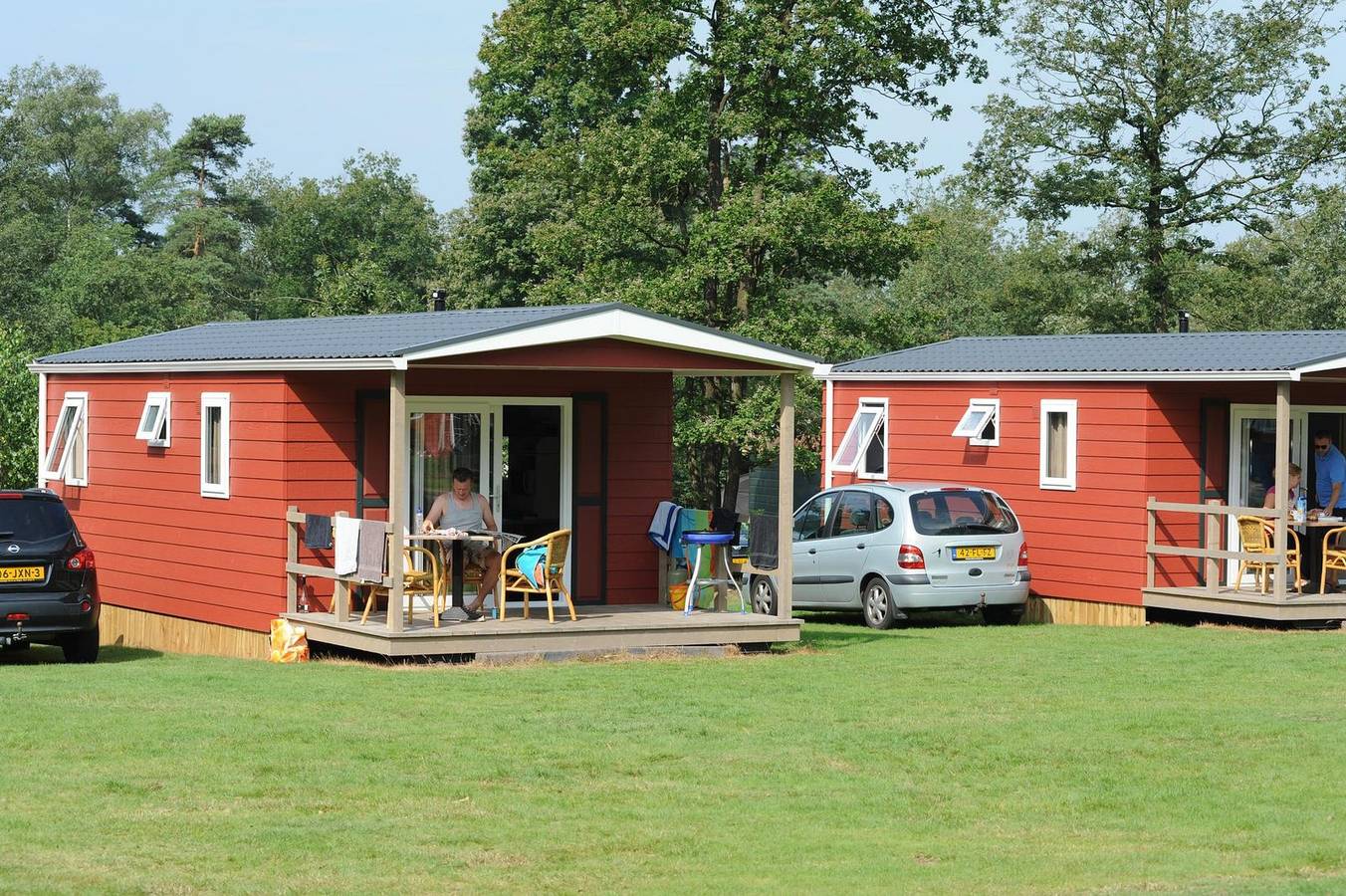 4 persoons Boslodge op een vakantiepark nabij Hoenderloo op de Veluwe in Hoge Veluwe