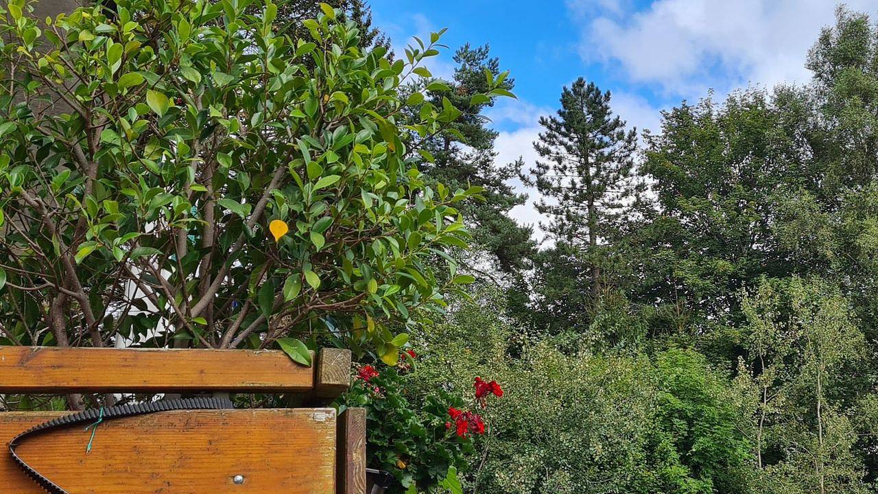 Doppelzimmer für 3 Personen in Herrischried in Suedlicher Schwarzwald, Herrischried