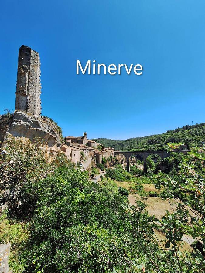 Location de vacances pour 4 personnes, avec jardin à Tourouzelle - 4