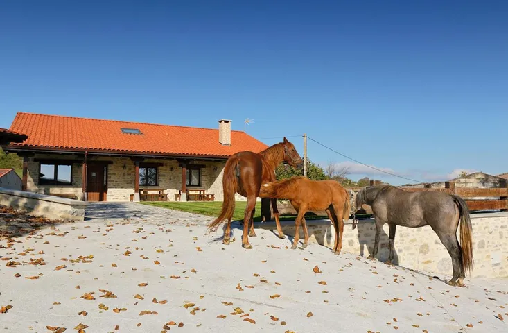 Casa rural para 12 personas, con vistas y jardín - 1