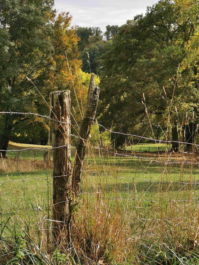 Gîte pour 2 personnes, avec vue et jardin à Miers - 4