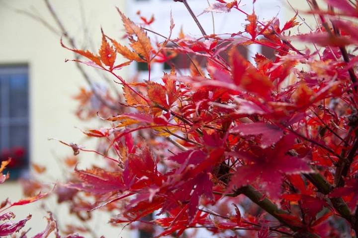 Ferienhaus für 6 Personen, mit Ausblick und Garten, mit Haustier in Region Oder - Spree - 3
