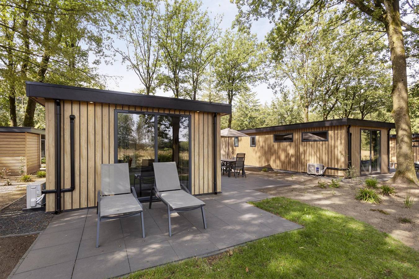 Bospark Ede — Module Wood 5 personen in Ede, Hoge Veluwe