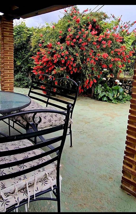 Apartamento de vacaciones para 5 personas, con vistas además de piscina y jardín en Valle del Jerte - 3