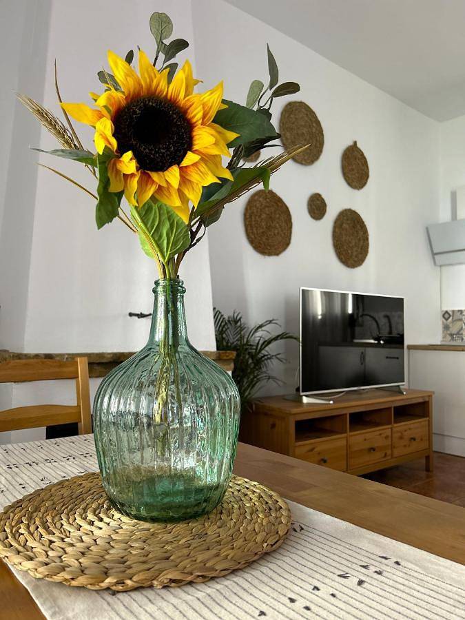 Location de vacances pour 6 personnes, avec vue et jardin à El Rocío - 4