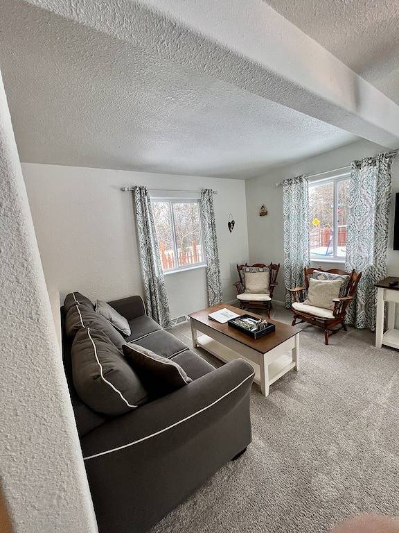 Devil's Lake Cottage - Family Friendly a block from State Park Entrance! Skiing in Devils Lake