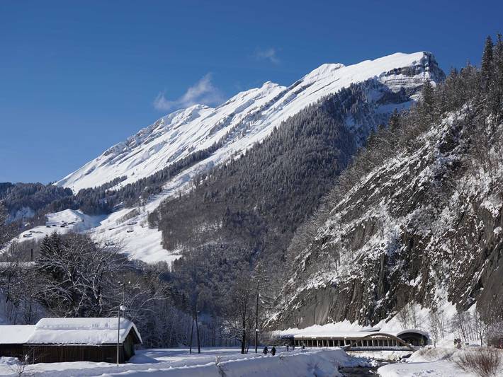 Ferienwohnung für 8 Personen, mit Garten, kinderfreundlich in Au - 2