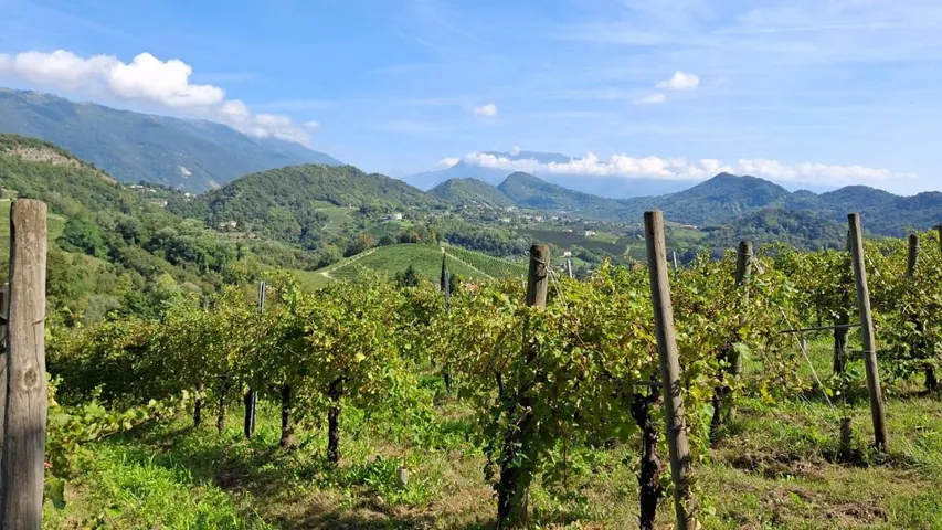 Bed and breakfast per 2 persone, con giardino e panorama - 1