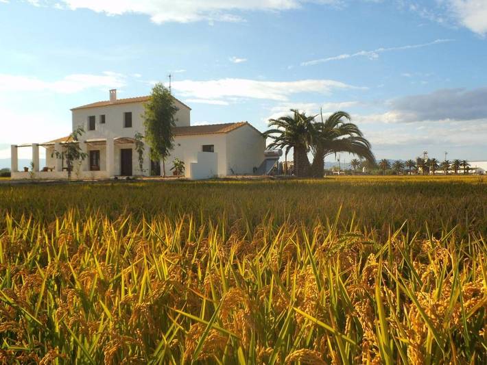 Casa rural para 10 personas, con vistas y jardín en Delta del Ebro - 2