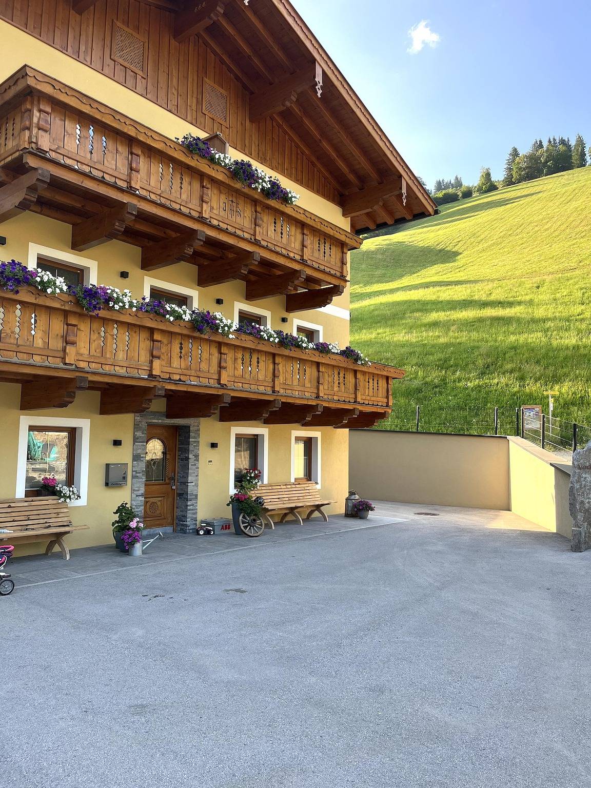 Geheel vakantieappartement, Bichlblick in Viehhofen, Pinzgau