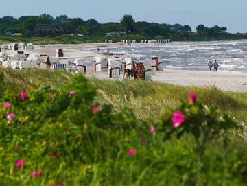 Bauernhof für 5 Personen in Gelting, Ostsee Schleswig-Holstein, Bild 4