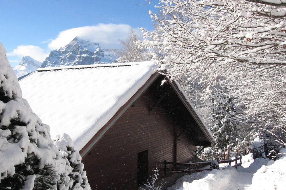 Geheel appartement, Ski en zomer Chalet appartement in Les Carroz, Haute-Savoie, Franse Alpen in Les Carroz, Arâches-la-Frasse