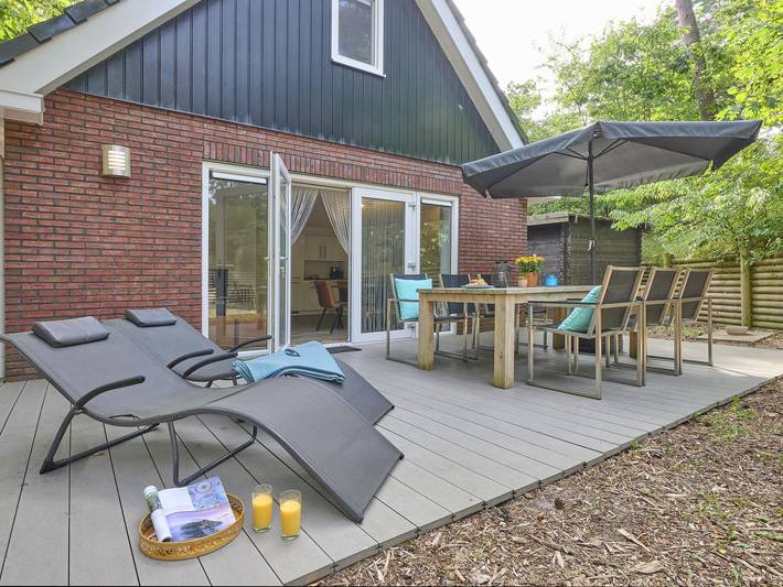 Modernes Ferienhaus in einem ruhigen Waldpark in Nunspeet, Veluwe