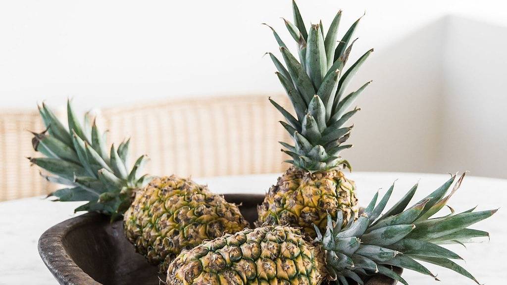 Glamping for 4 Guests in Noosaville, Noosa Shire