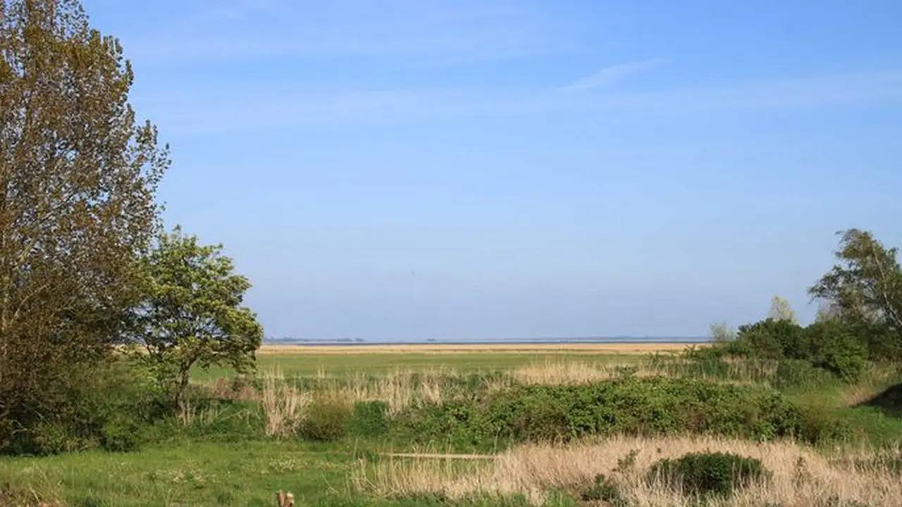 Ferienhaus für 5 Personen (60 m²) in Ahrenshoop in Althagen, Ahrenshoop