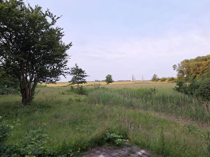 Villa für 6 Personen, mit Garten und Ausblick auf Texel - 3